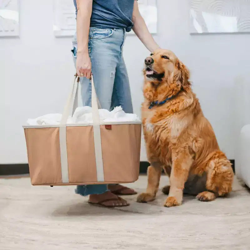 Lot de 2 sacs à linge pliables, moka/crème